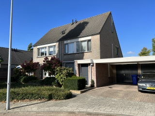 Steenmarter , Veldhoven